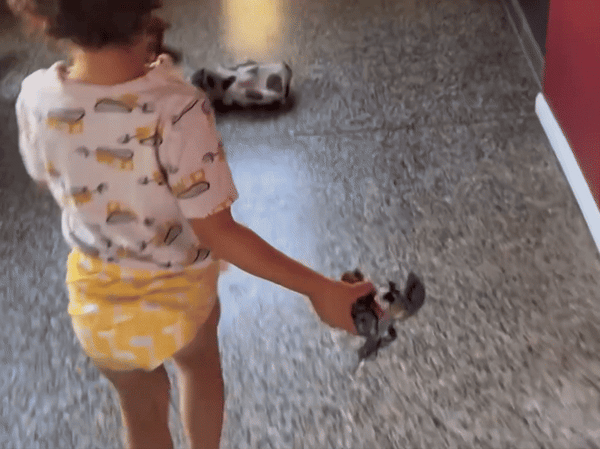 Super Potty Training Kit